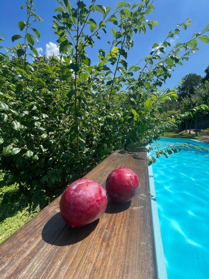 Quinta Das Ameixas - Country & Nature Arouca Luaran gambar