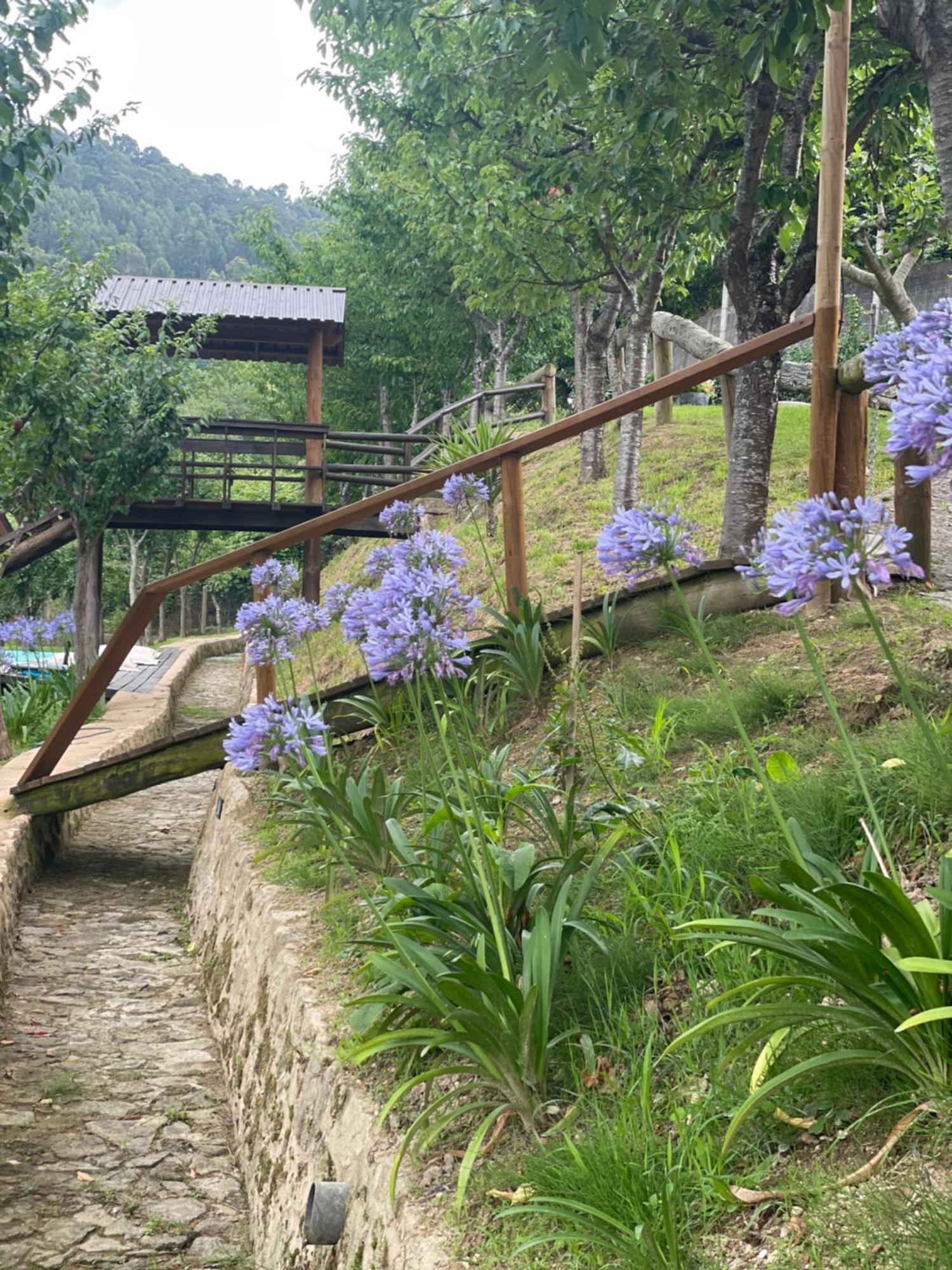 Quinta Das Ameixas - Country & Nature Arouca Luaran gambar